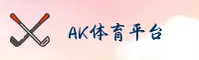 使用指南与常见问题